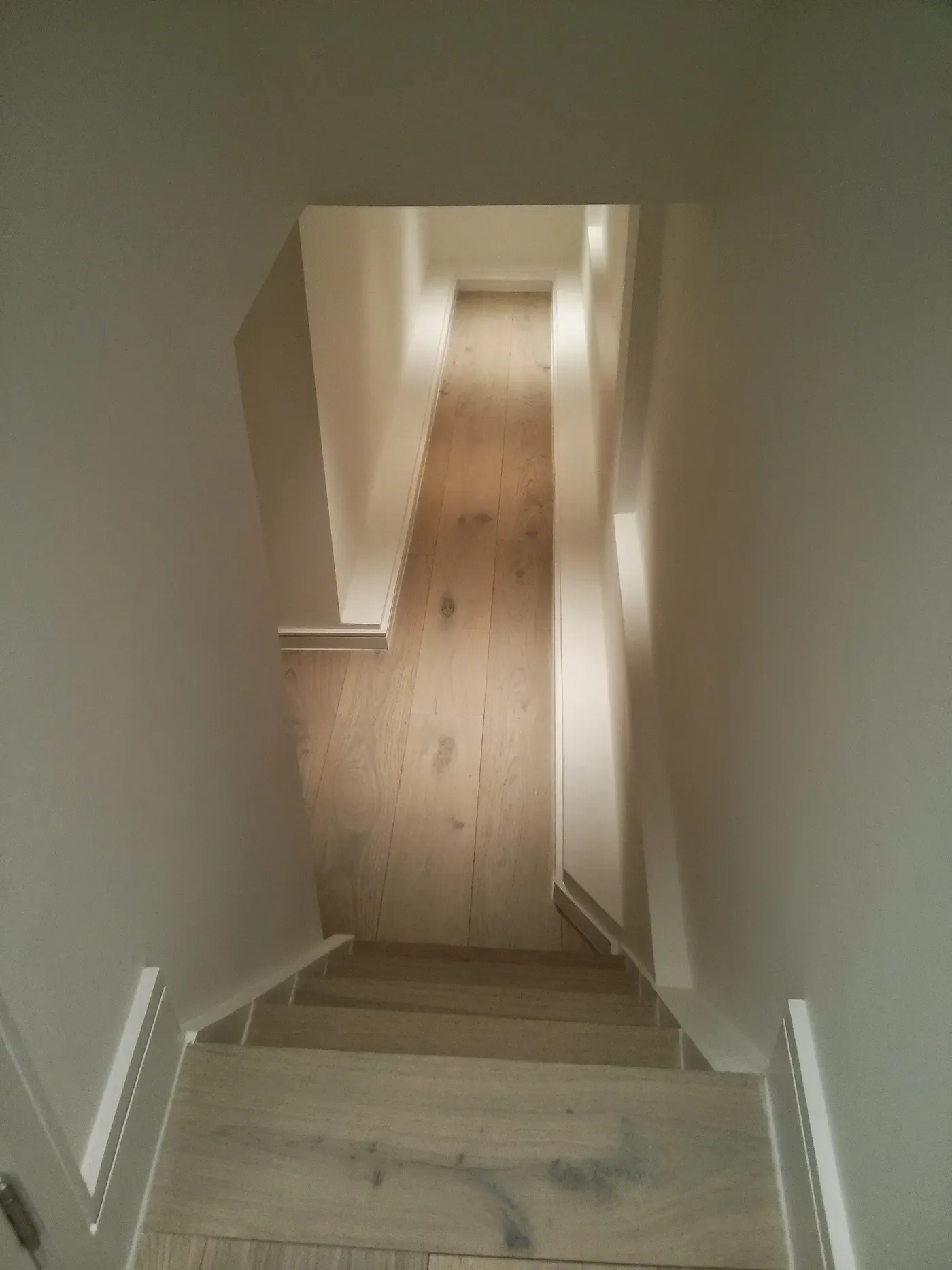 Basement conversion in W12